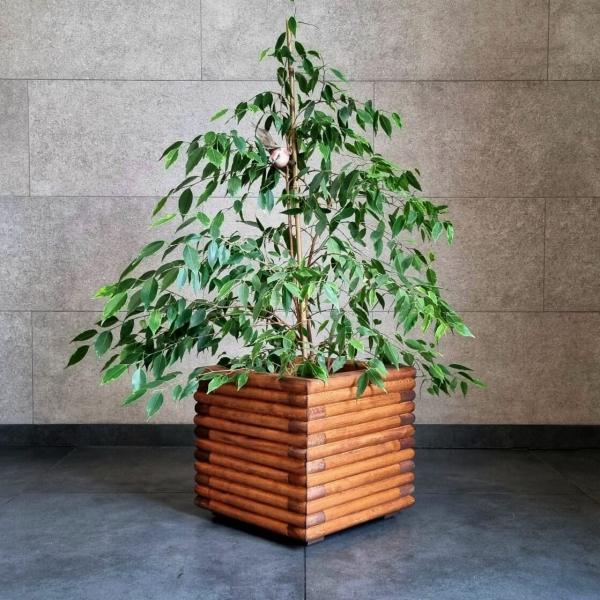 Large 3D Wooden Planter (Romb Profile)