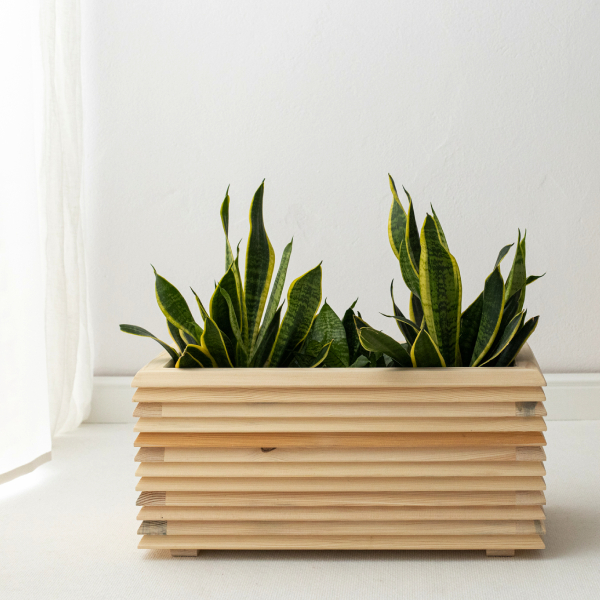 Long Wooden Planter - Natural Diamond