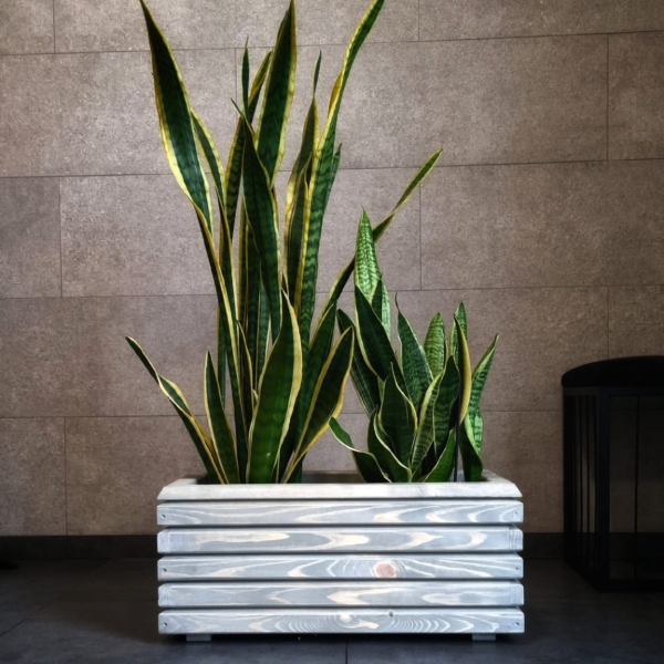 Long Platinum Gray Wooden Planter 