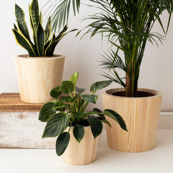 Pine Wooden Planters Set