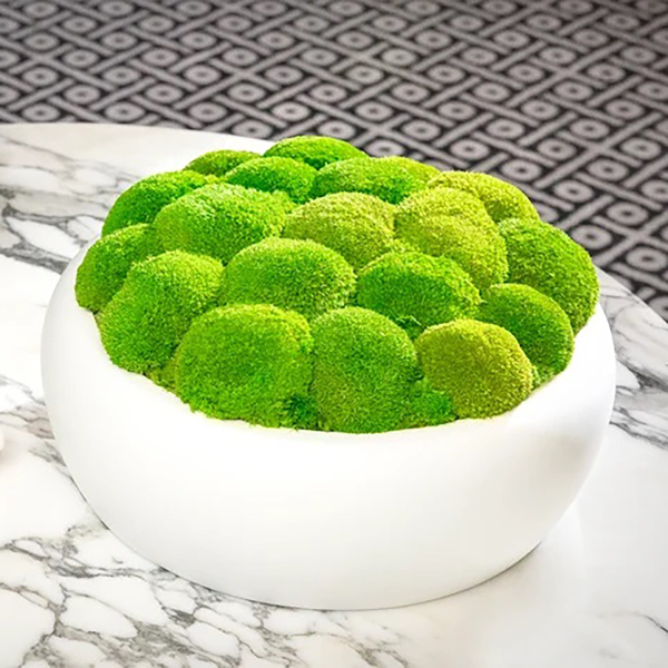 "Fungo" Moss Centerpiece 