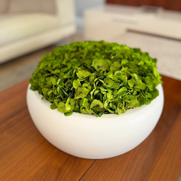 "Hortens" Moss Centrepiece