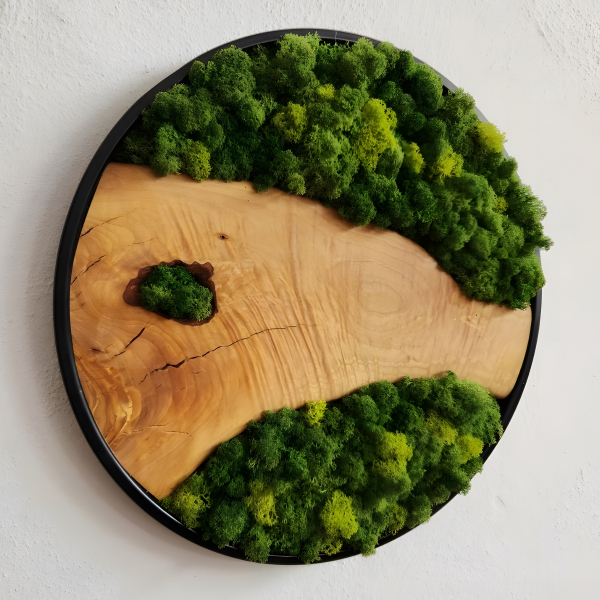 Moss and Olive Wood Wall Art Round