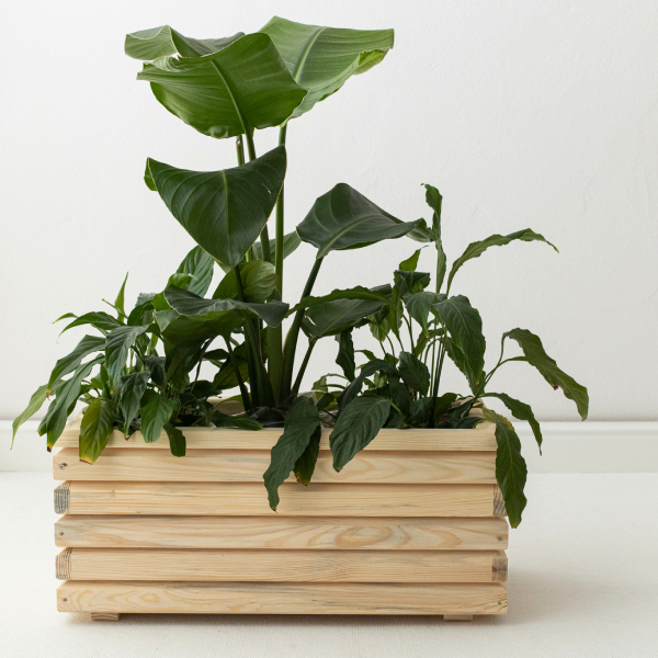 Elongated Wooden Planter